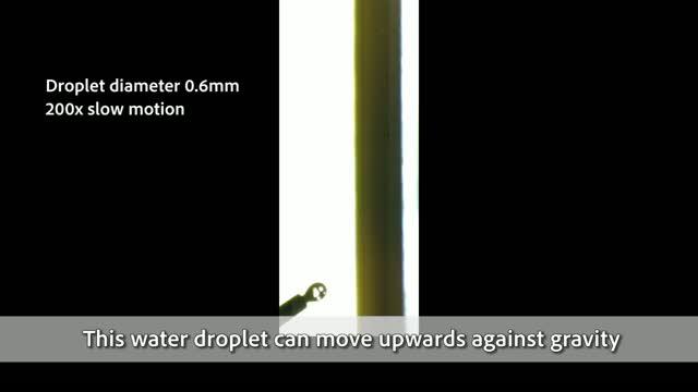 Moving Droplet at Record High Speed CityU 2019