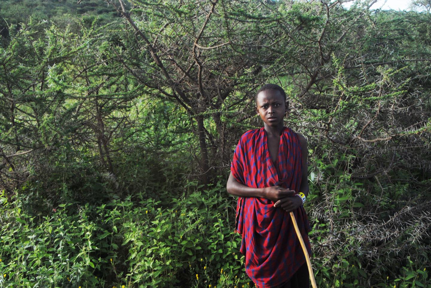 Masai boy