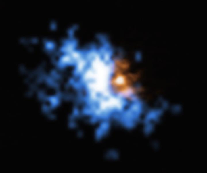 Gas halo observed by MUSE surrounding a galaxy merger seen by ALMA