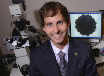 Adam J. Smith, University of South Florida Center of Excellence for Aging and Brain Repair