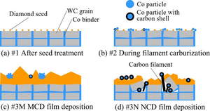 Non-uniform formation mechanism revealed