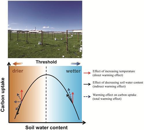 Field Experimental Plots and Conceptual Diagram of Warming Effects on Ecosystem Carbon Uptake