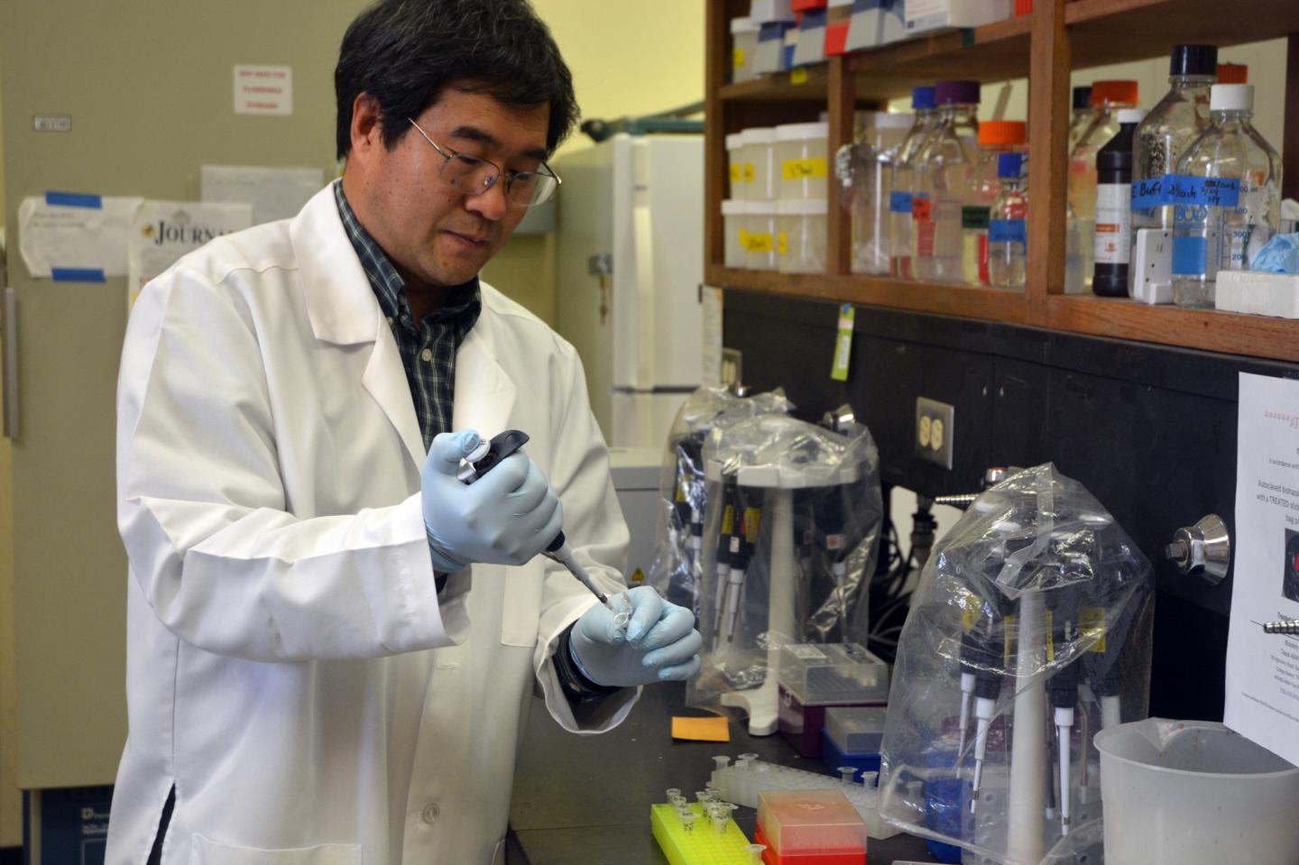 Dr. Shuyu Liu, Texas A&M AgriLife Research wheat geneticist