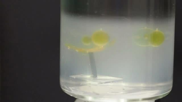 An Artificial Aquatic Polyp Capturing An Object