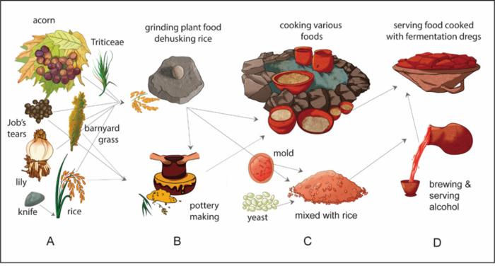 Reconstruction of the production-consumption process involving pottery and food in early Shangshan culture