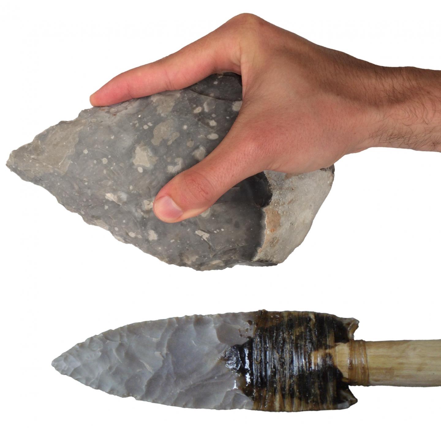 Handaxe and Clovis Point