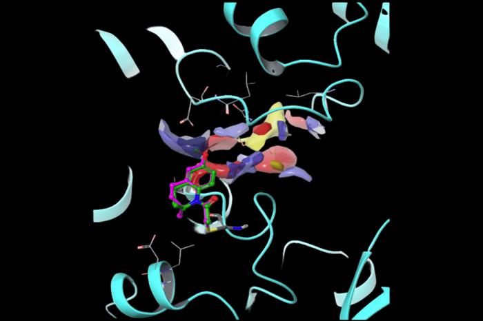 Helicase