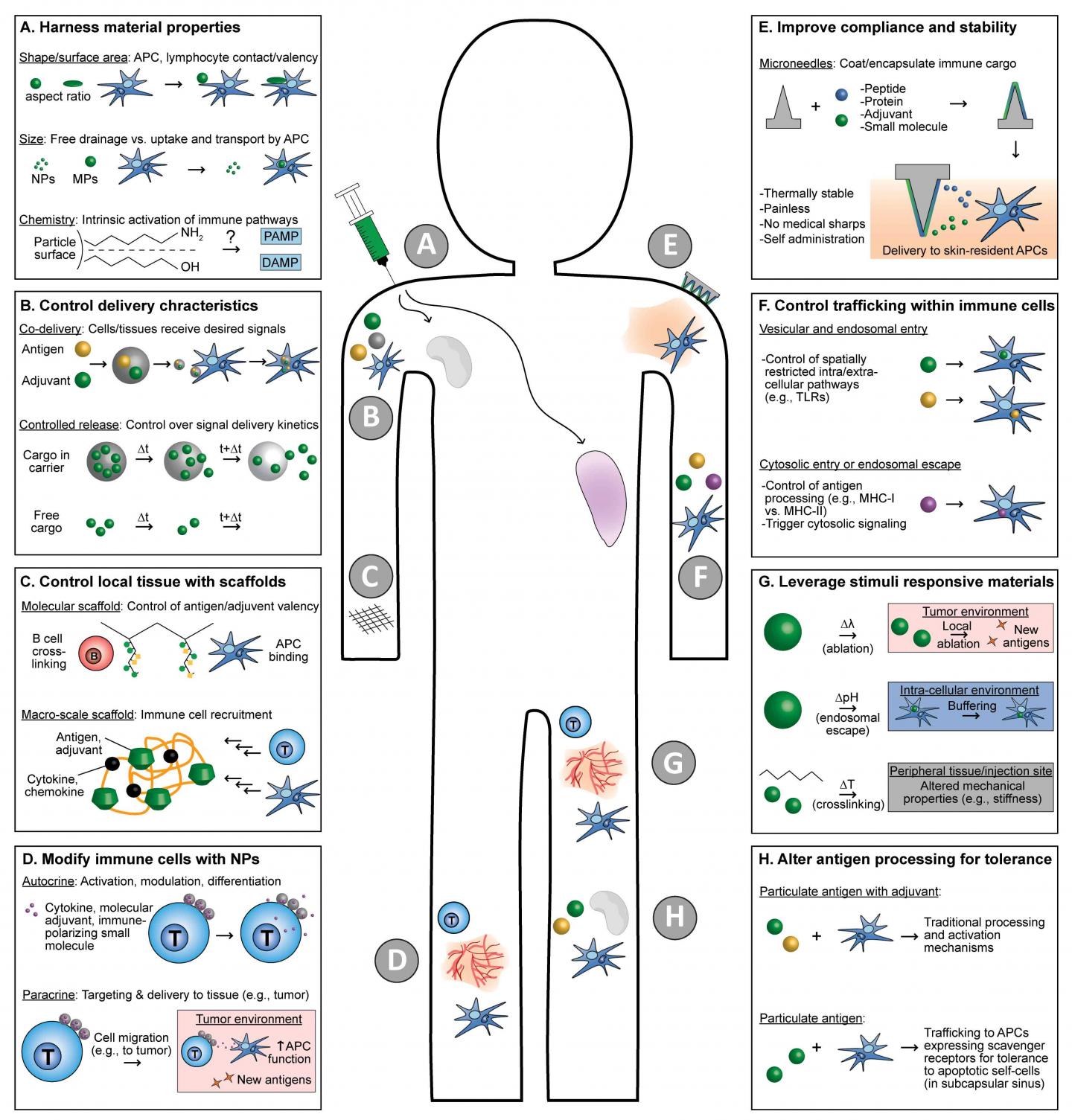 Biomaterials for Engineering Immune Function