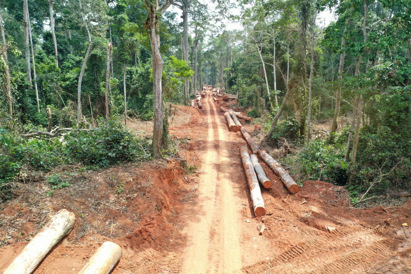 Logging