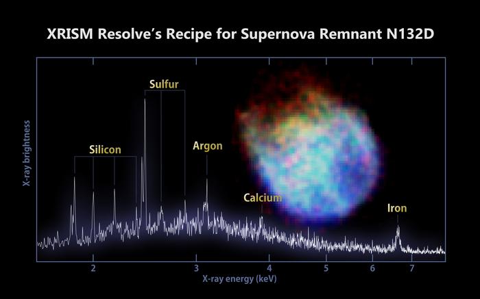 XRISM Studies Supernova Remnant N132D