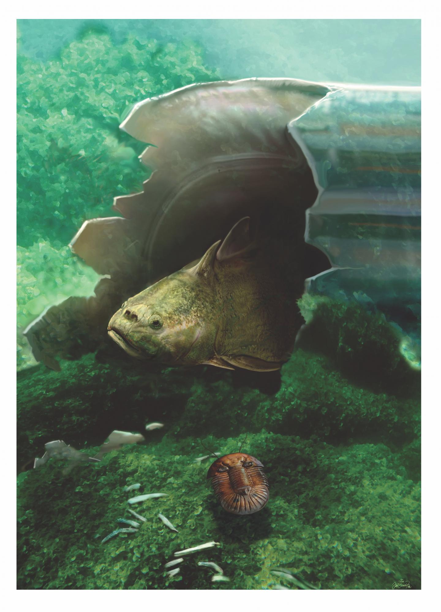 Radotina, One of the Most Primitive Jawed Vertebrates