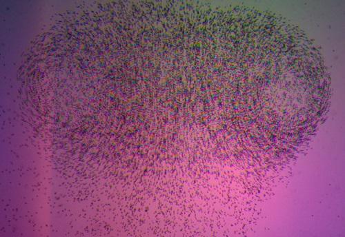 3-D Particle Tracking? There's an App for That