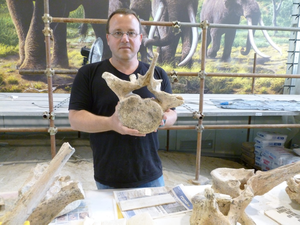 Prof. Ran Barkai with ancient elephant bone