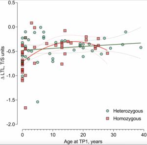 Leukocyte telomere length and attrition in association with disease severity in cystic fibrosis patients