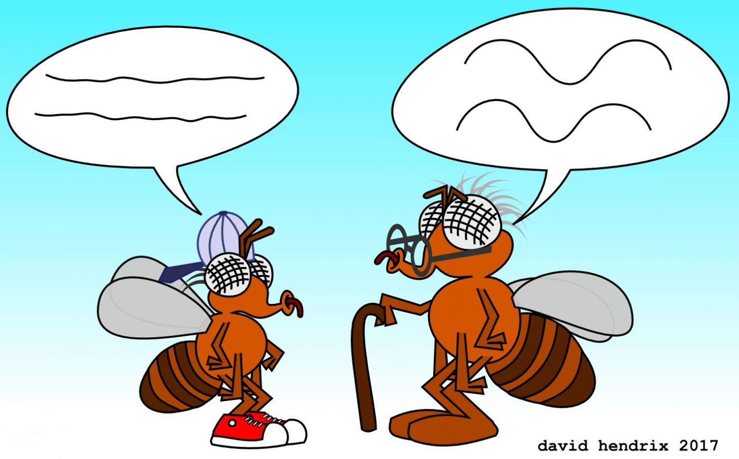 More Active with Age