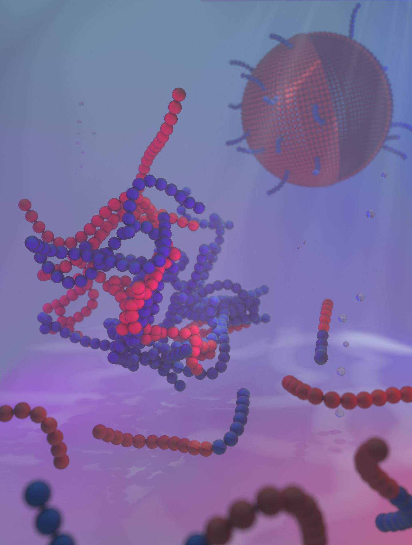 Artist Impression of Amphiphilic Self-Assembly