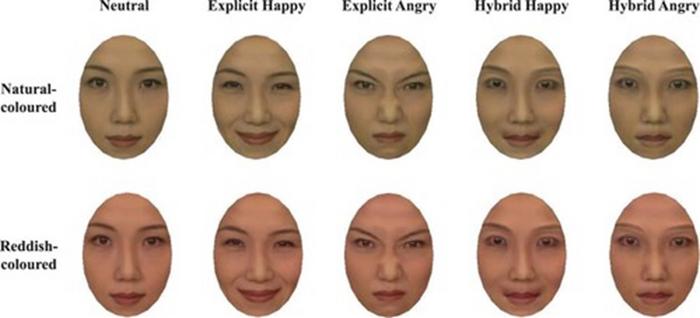 明示的な表情（1〜3列目）とハイブリッド表情（4、5列目）
