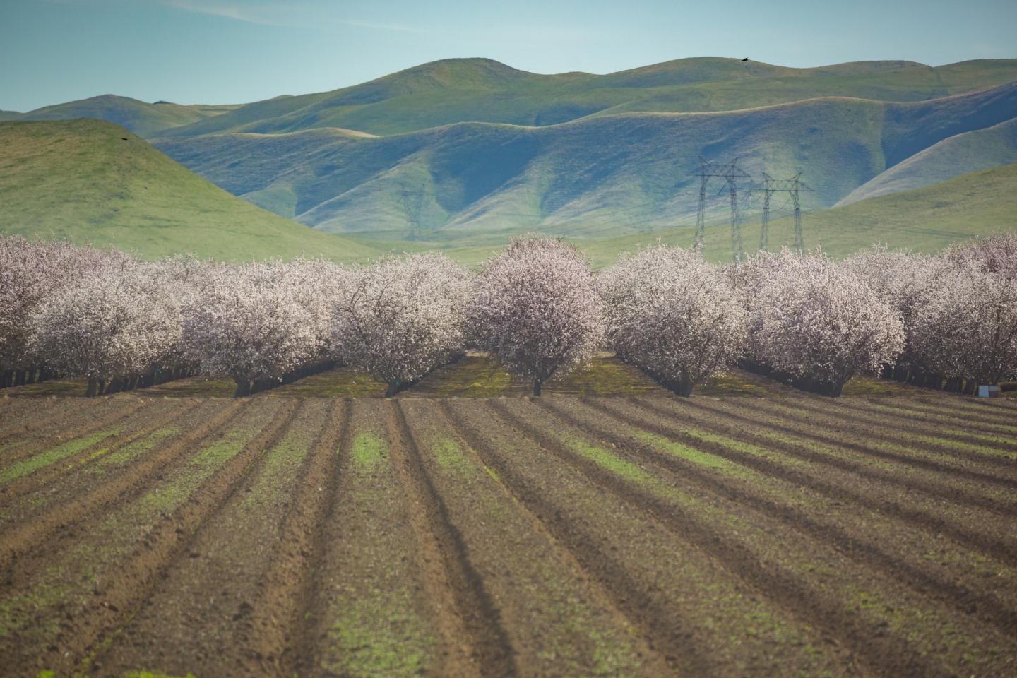 Water Stress Leads to Tough Choices