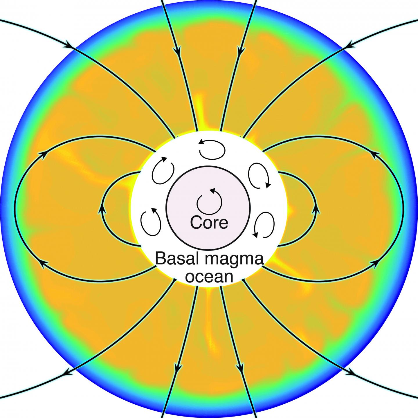 Model with Magnetic Field