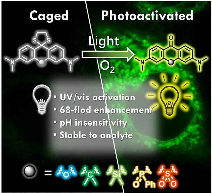 Thioketal-photocage: universal modified strategy to construct new photochemical tools for real-time imaging in living cells