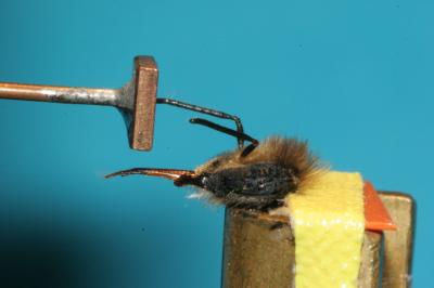 Tactile Learning in Honey Bees