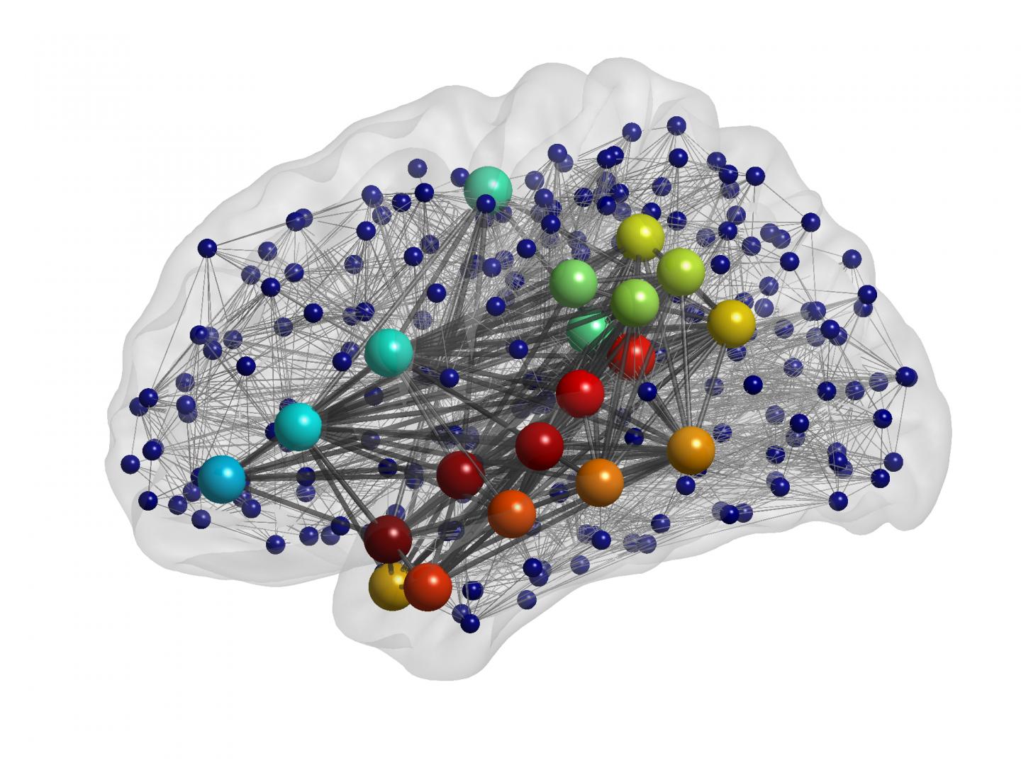 Computational Model of the Brain