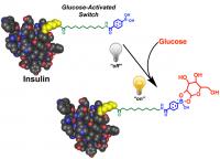 Smart, Glucose-Responsive Insulin