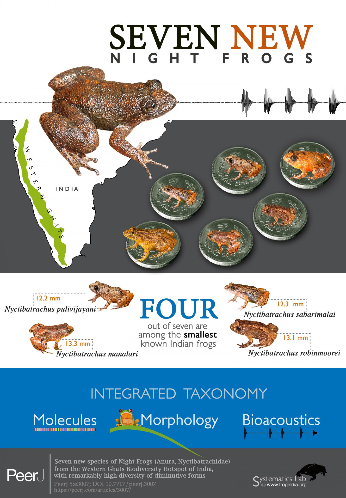 Graphical Abstract