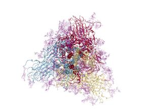 BioExcel-CV19: A Breakthrough in Understanding COVID-19 Proteins