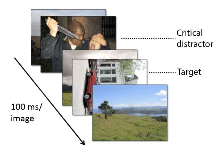 Methodology for Emotion-induced Blindness Study
