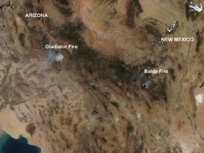 Arizona's Gladiator Fire and New Mexico's Bal | EurekAlert!