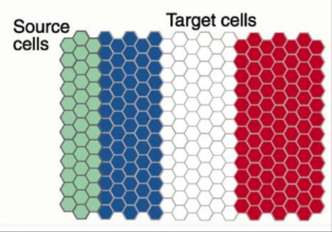 The French Flag Model