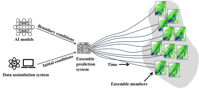 How AI models drive convective-scale ensemble forecasts