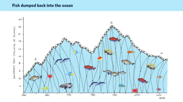 Global Marine Fisheries Discards 1950-2014