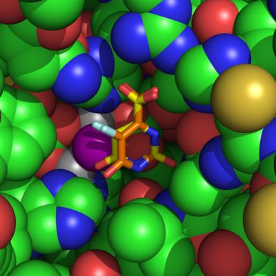 Schematic of <i>A. baumannii</i> Drug Targets