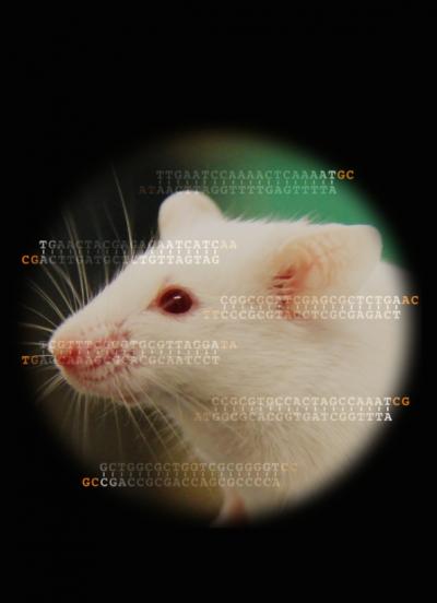 Unexpected Antiviral Response Discovered in Mammals