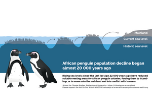 The paleo-historical picture of the geographical range of African penguins over the past 22,000 years