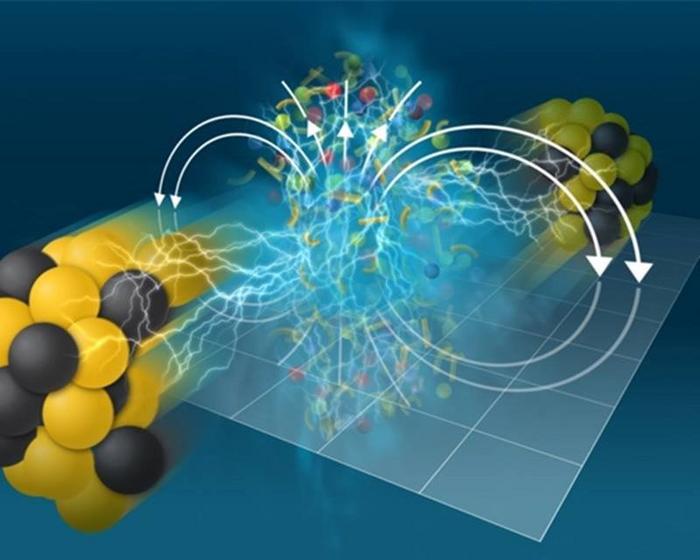 STAR Sees a Magnetic Imprint on Deconfined Nuclear Matter