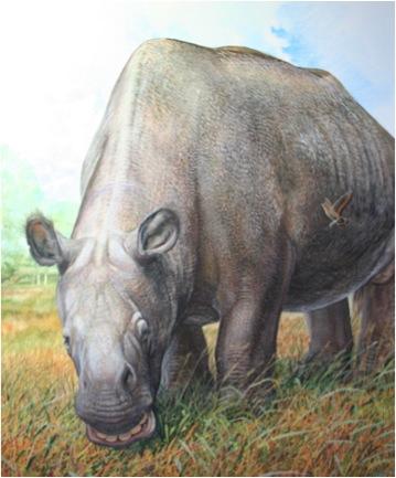 <i>Toxodon platensis</i>