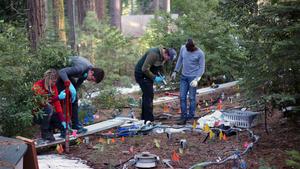 Soil research in the Sierra Nevada