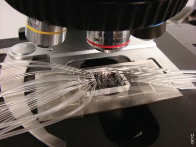 Lab-on-a-chip (1 of 2)