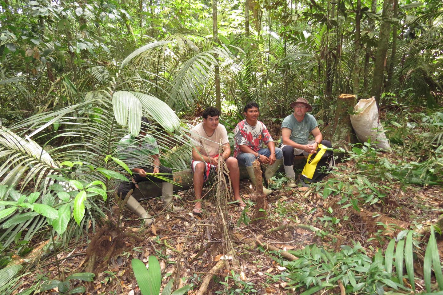 Local Inhabitants of Amazon Forest