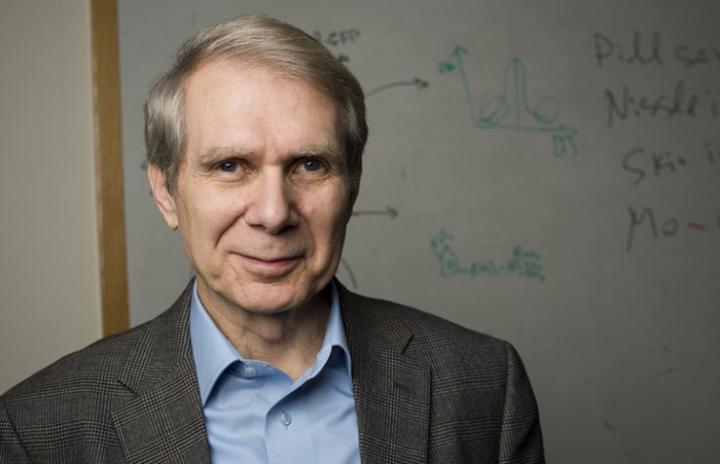 Kim Lewis, Northeastern University