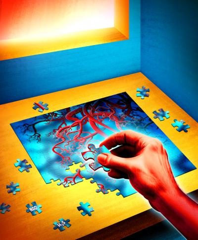 Scientists Have Successfully Restored Blood Vessel Growth in Aging Animals