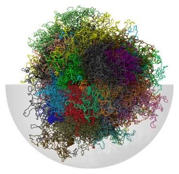 Chromosomes in Cell Nucleus (2 of 2)