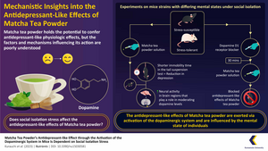 Elucidating how Matcha tea confers its antidepressant-like effects