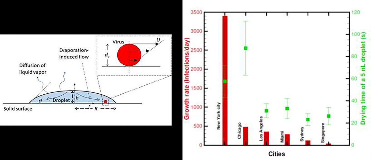The Coronavirus on Surfaces
