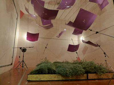 Plant Modules Fitted onto a Laboratory Wall