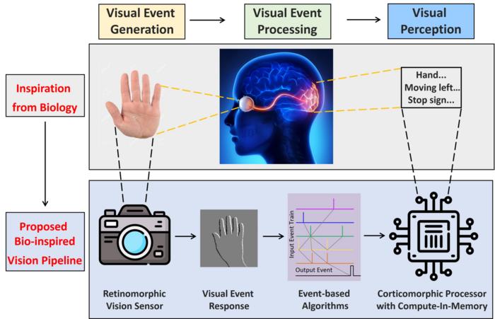 Computer vision inspired by human vision