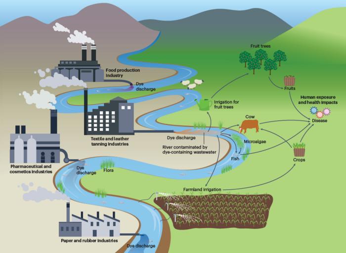 Sources of dye in wastewater